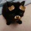 czxymn