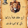 user4481109266832