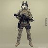 combat.huskey