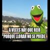 preguntame_ahora