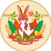 furbabyforage