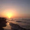 ahmed.tahri55