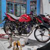 m_arif42