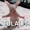 apaalahhwok