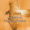 al_harpi2
