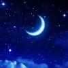 zaina.jawad83
