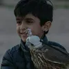 qazxqdffi4g
