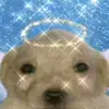 elquelee_esgay1