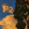 pe_pz