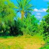 mohamed.farah858