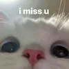 tdat_180