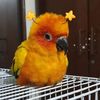 alvin.beo