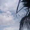 johana_glgd3
