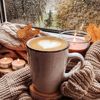 aainor.amian