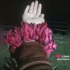 shazadi.j.m