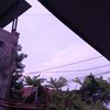 ambon_imut