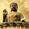 .thuctinh89