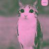 meowl1927