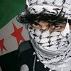 m.ahmed1546