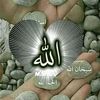 muhammad.qasim.is0