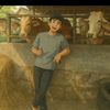 storybudakbatur