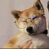 gary600000000
