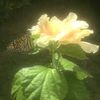 rainmoon_27