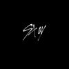 tashastay