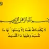 ibrahim.mohammed1250