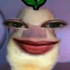 spabeh29