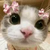 yaning787