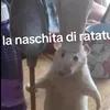 alessandro_mangni