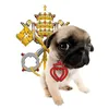 nandocatholic8