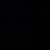 _chip.meo_