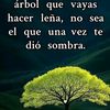 user7328113575399