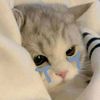_nayyaraa16