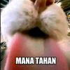 aing_odeh