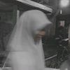 nimas.arum_