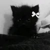 waysixsq_15