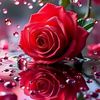 user72320072261217