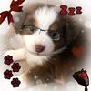 r4v3nz_h34rtz