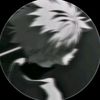 _anwarrrrr555