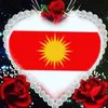 shingali37