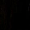 user029282828228829292