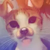 flixxzzyp
