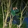 josefseibold0