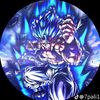 gokumui248