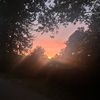 lilc_505