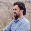 zulfaqar.ali071