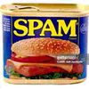 spam79931